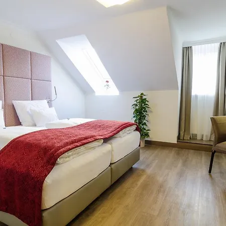 Hotel Goldener Fisch 3*