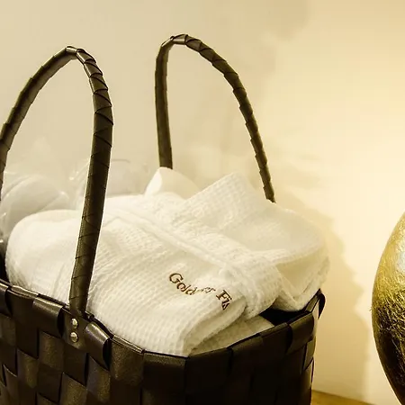 Goldener Fisch Otel Lienz